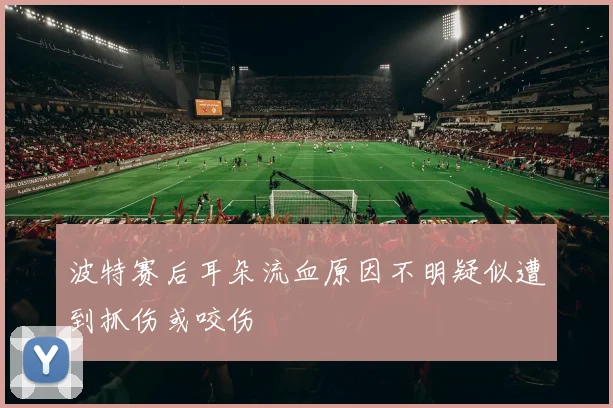波特赛后耳朵流血原因不明疑似遭到抓伤或咬伤