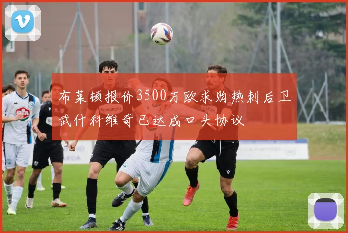 布莱顿报价3500万欧求购热刺后卫武什科维奇已达成口头协议