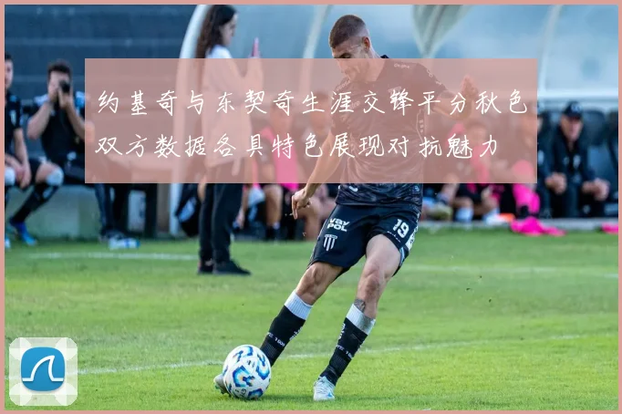 约基奇与东契奇生涯交锋平分秋色双方数据各具特色展现对抗魅力