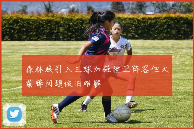 森林狼引入三球加强控卫阵容但大前锋问题依旧难解