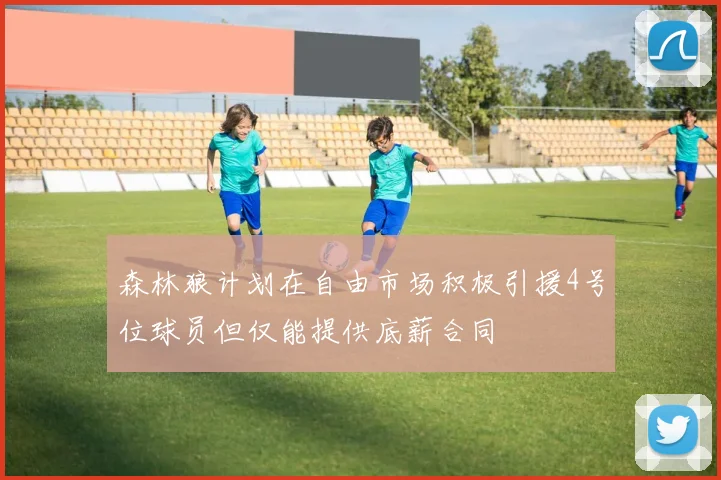 森林狼计划在自由市场积极引援4号位球员但仅能提供底薪合同